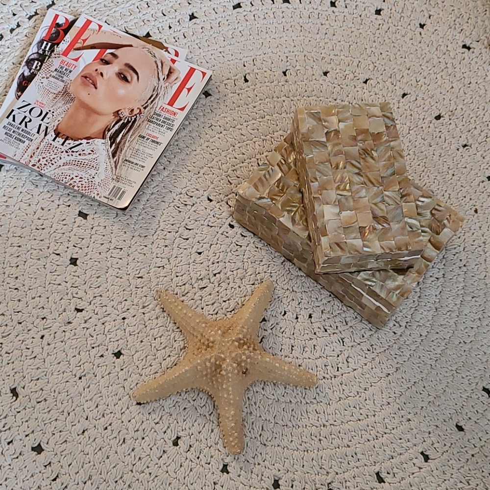 ABOLONE SHELL BOX ,DECOR, JEWLERY OR  OFFICE